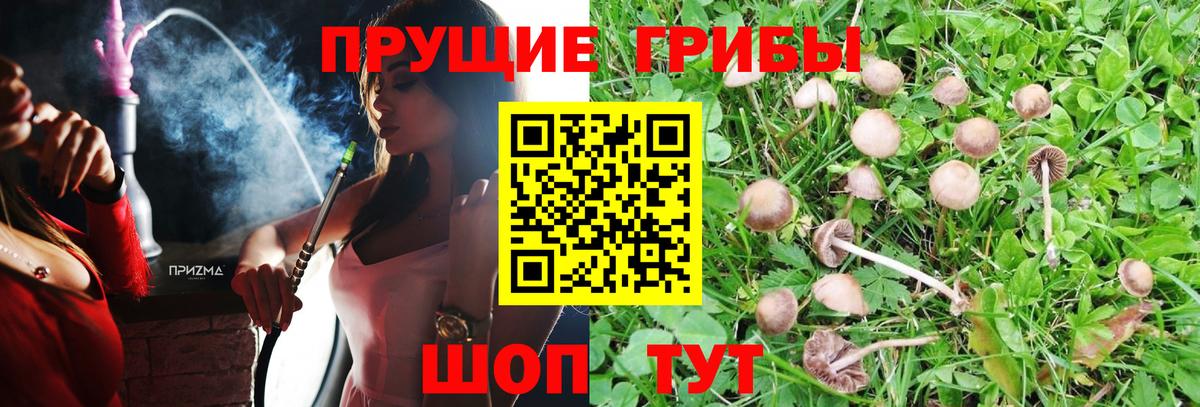 Галлюциногенные грибы GOLDEN TEACHER Геленджик