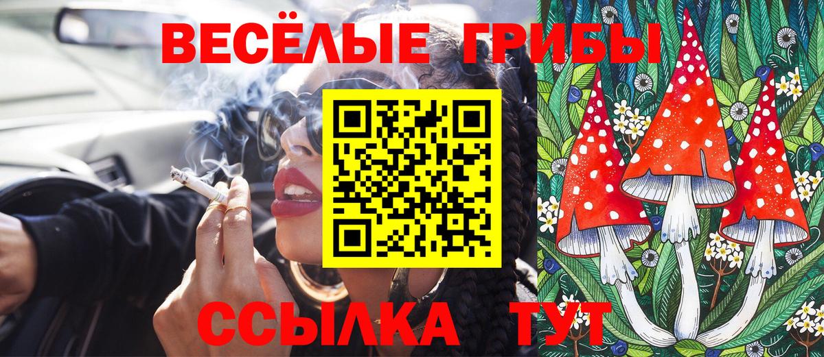 Геленджик  Псилоцибиновые грибы MAGIC MUSHROOMS  Вход с VPN 