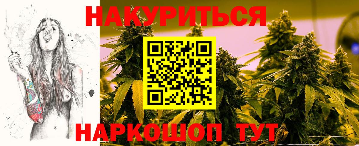 Бошки Шишки планчик  Вход с VPN  Геленджик  Канабис сатива  Канабис сатива 